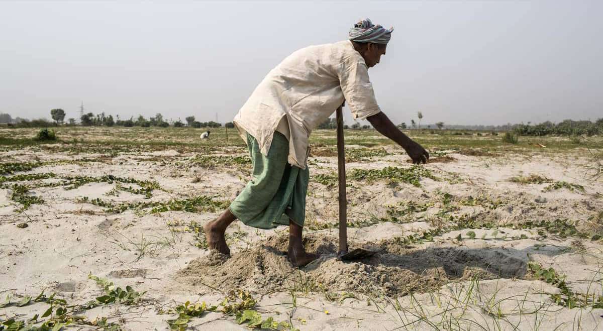A farmer in Nepal sprinkles seed in sandy soil