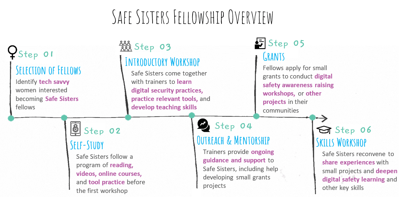 Graphic showing Safe Sisters Fellowship Breakdown - Selection of Fellows, introductory workshop, grants, self-study, outreach and mentorship and skills workshop