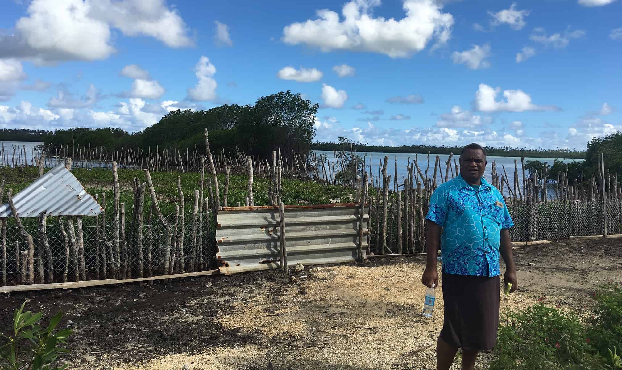 A man stands in front of mangroves trees.