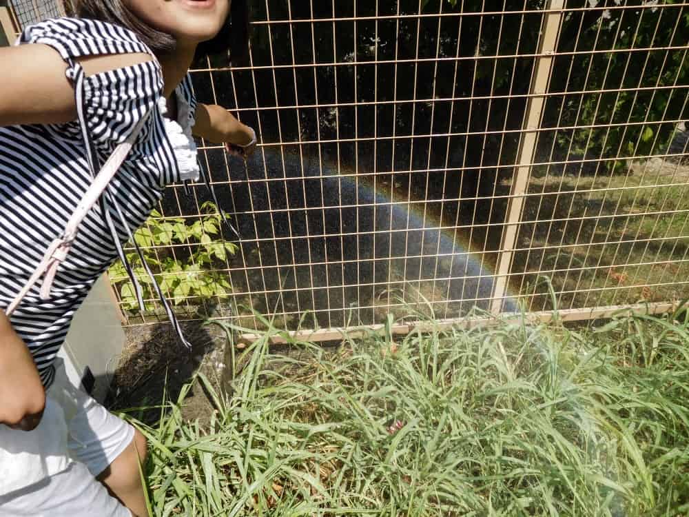 A girl points at a small rainbow by a wire fence