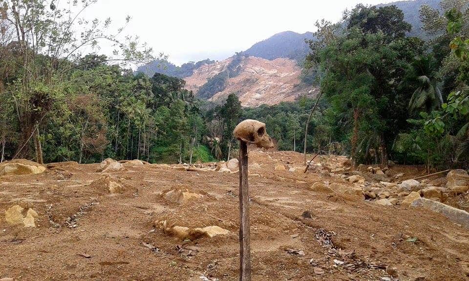 A skull sits on a post stuck in the middle of a landslide
