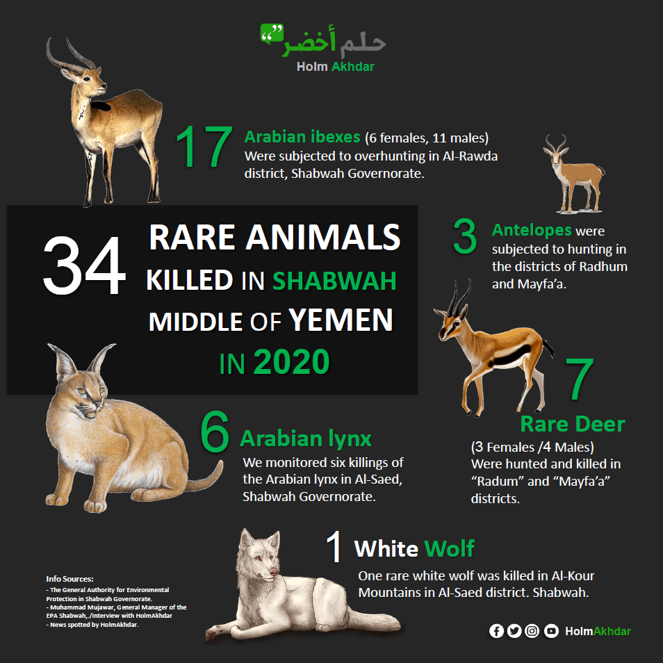Poster showing 5 types of rare animals that are hunted.