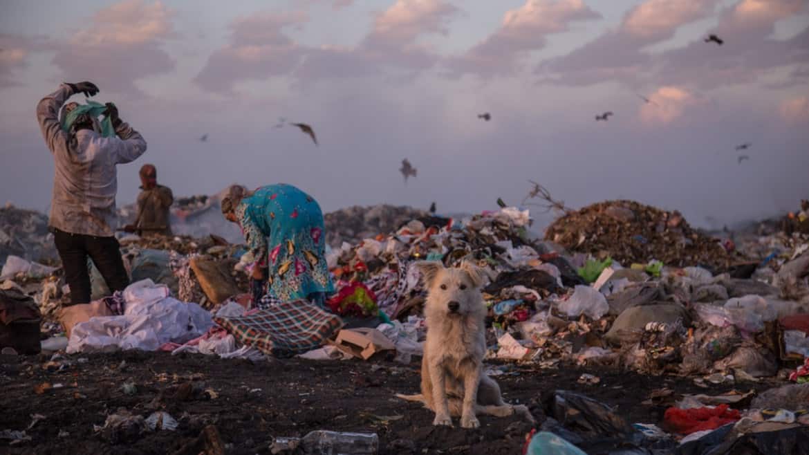 A dog sits in a landfill while some people look through the rubbish.