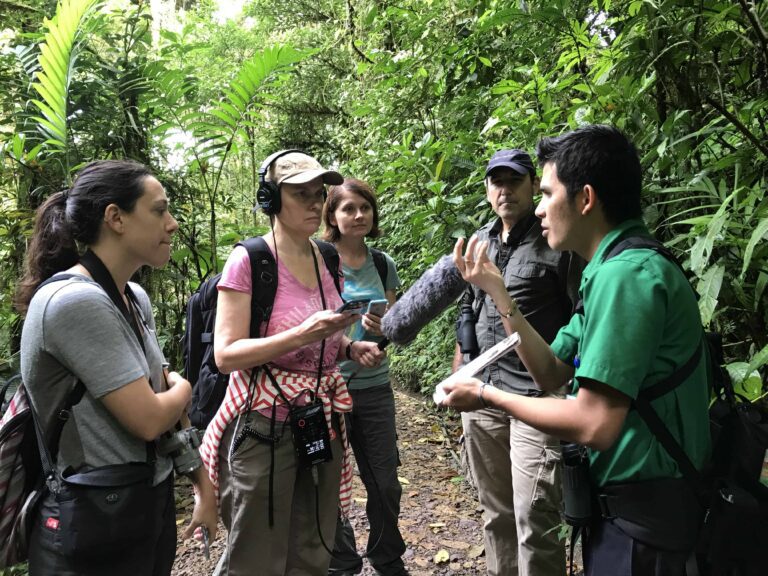 Interviewing in a rainforest.