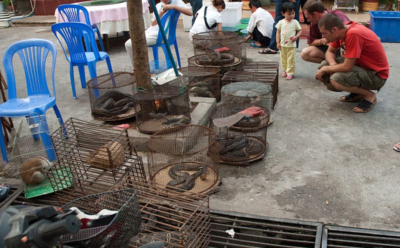 A man crouches down to look at an animal in a small cage