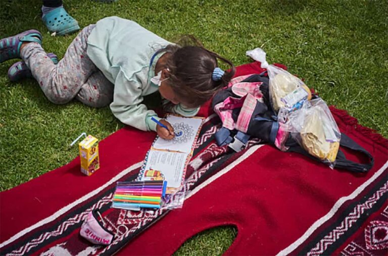 A child lying on a blanket on the grass, colors in a book.