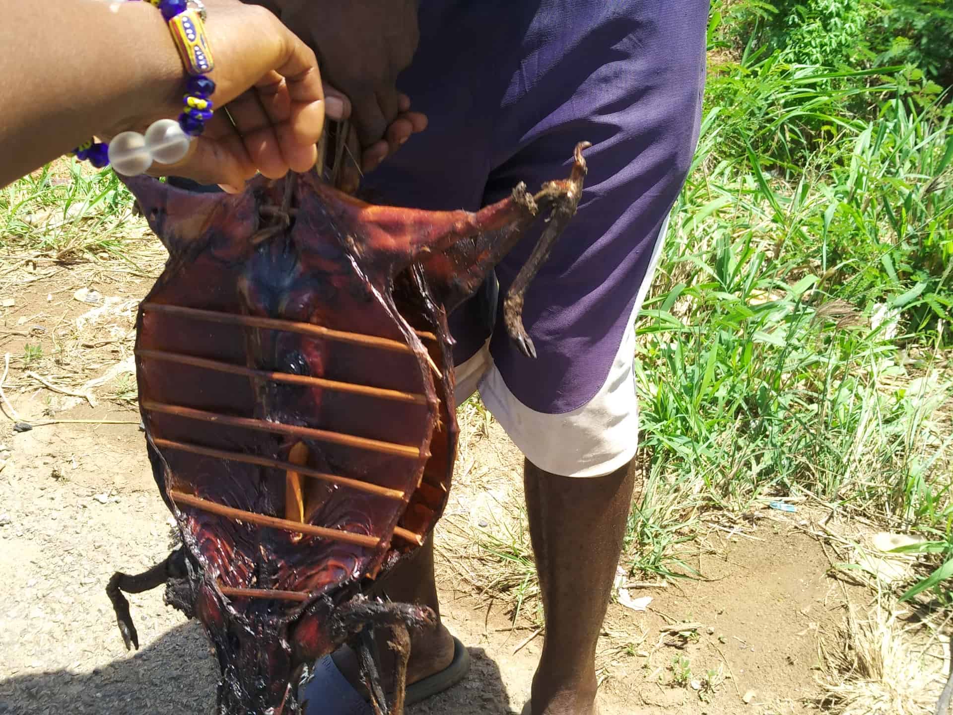 A person holds the carcass of an animal