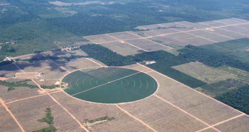 Aerial view of a green circle and brown vegetation.